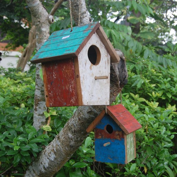 DIVADI FURNITURE PRODUCT 1 AMB23