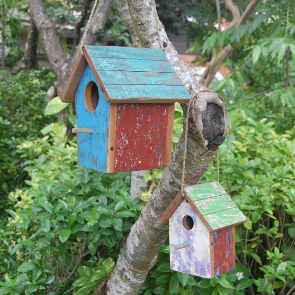 BIRD HOUSE BIRD HOUSE